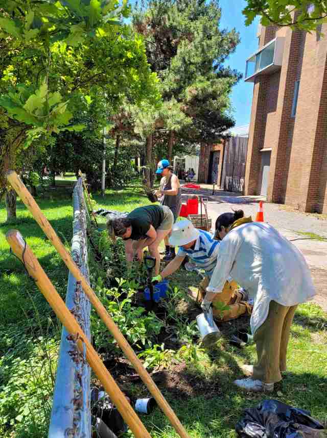 Voluteers McCormick Park Pollinator Garden 2026